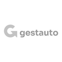 gestauto-brasil